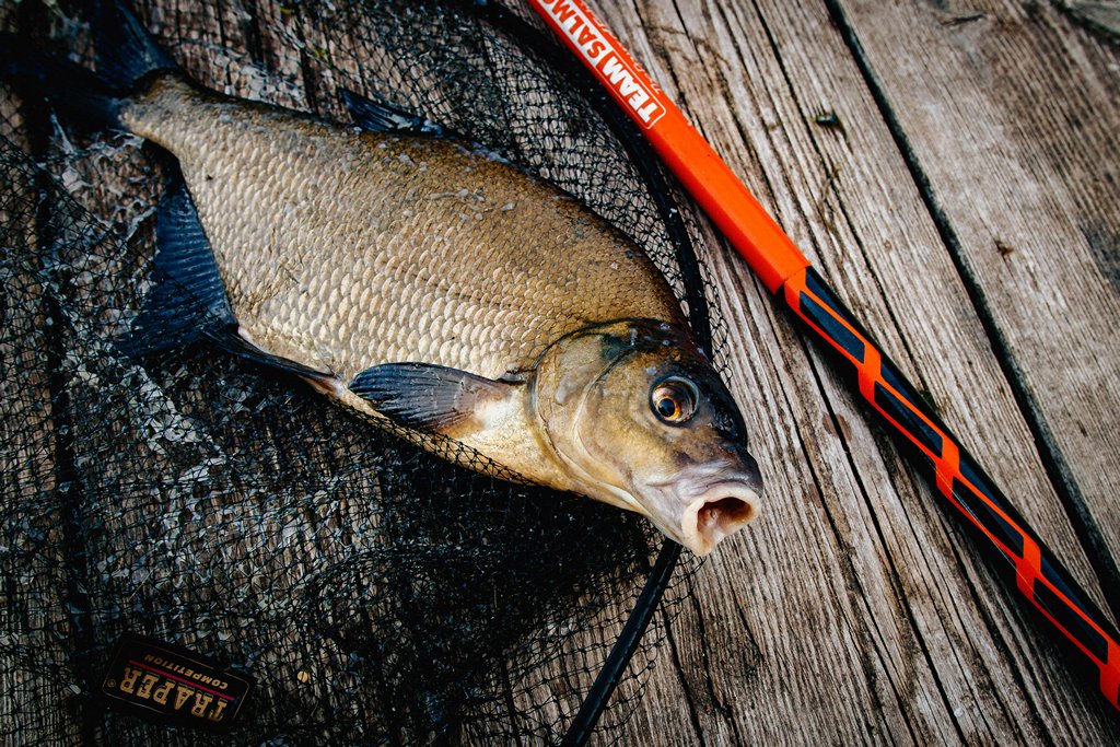 Снасть для ловли на мах 00002.JPG